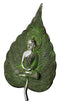 Metal Buddha Peepal Leaf Wall Hanging