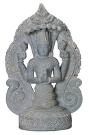 Yoga Guru Patanjali