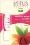 Lotus Herbals LIP THERAPY Velvety Rose - 4gm.