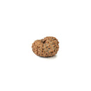 12 Mukhi Rudraksha Java