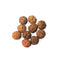 Eight Mukhi Rudraksha Bead