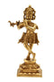 Lord Krishna -The Cosmic Casanova