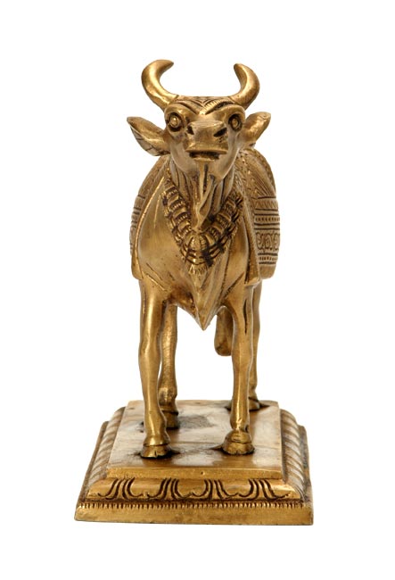 Gau - The Beloved Cow Of Indians