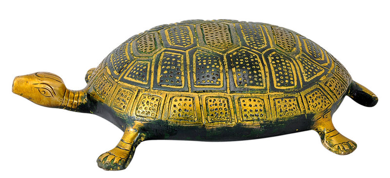 Auspicious Brass Tortoise 8"
