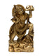 Sankatmochan Anjaneya Hanuman