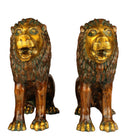 Pair Lion Sculptures in Brass 13.50"