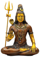 Trance Mood Shiva Blessing Statue 19.25"