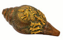 Lord Surya Engraved Brass Conch