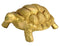 Brass Tortoise