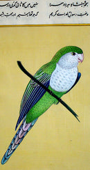 miniature Painting-Parrot