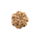 Seven  Mukhi Rudraksha Bead