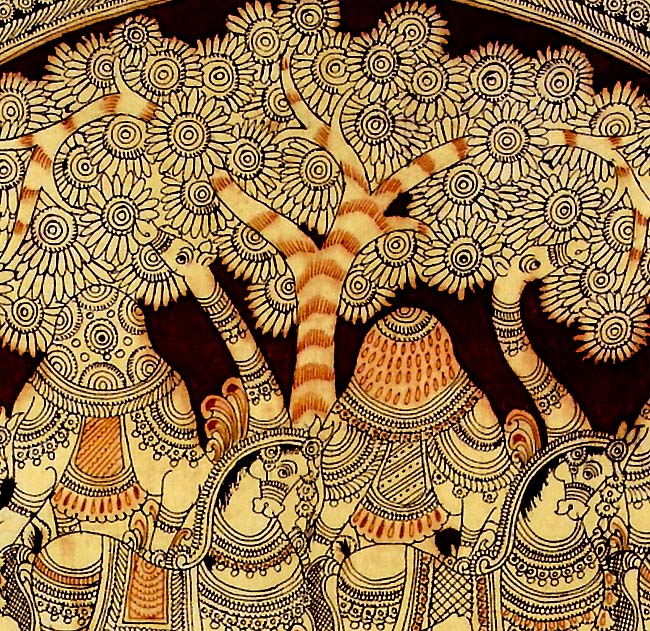 Animals of Chittoor
