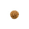 6 Mukhi ( Faced ) Rudraksha Bead