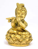 Flute Player Baby Sri Krisna
