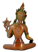 Saviour Goddess Tara Brass Statue 10"