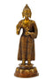 Standing Medicine Buddha with Carved Robe 7.75"