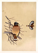 Resting Eagle - Miniature Painting