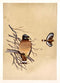 Resting Eagle - Miniature Painting