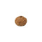 Eight Faced Rudraksha Bead from Indonesia