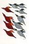 Flying Birds - Gond Tribal Painting