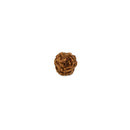 3 Mukhi Rudraksha