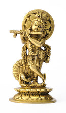 Lord Madhav Krishna 6"