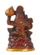 Shri Bajarangbali Hanuman Ji