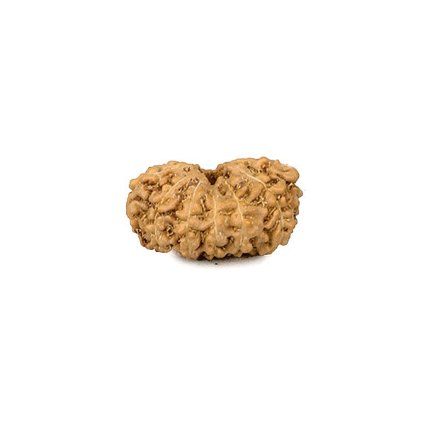 Twelve Faced Java Bead