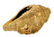 Sun God Surya Engraved Brass Conch