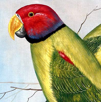 Exotic Parrots - Silk Painting