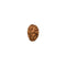 3 Mukhi Rudraksha