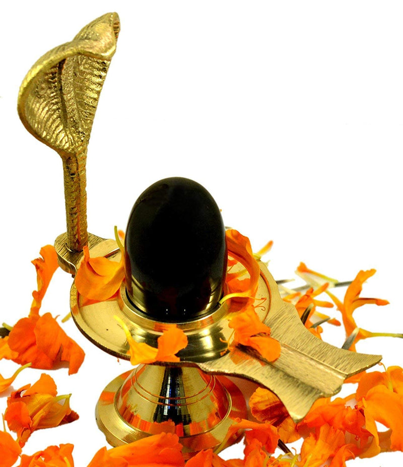 Black Shivling with Brass Trishul Jalahari Yoni, Plate, Kalash with Stand