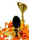 Black Shivling with Brass Trishul Jalahari Yoni, Plate, Kalash with Stand