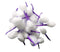 Cotton Wicks Purple Color Small - 100 Pcs