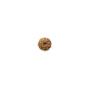 Ten Faced Rudraksha