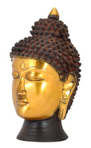 Meditative Buddha - Indian Brass Sculpture 9.50"