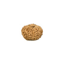 12 Face Rudraksha Java Bead