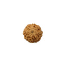 Eight Mukhi (Faced) Rudraksha