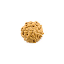 Rudraksha 6 Face