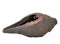 Vishvarupa Shri Krishna Brass Conch