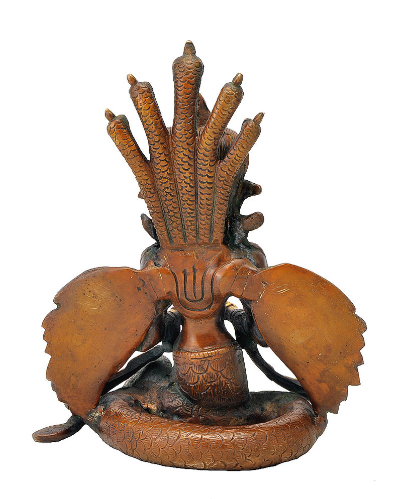 The Serpent Girl Deity 'Naag Kanya'