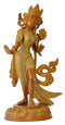 Goddess Devi Tara