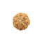 Seven Mukhi Rudraksha (Java Bead)