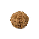 Ten Faced Original Rudraksha Bead