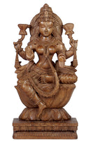 Goddess Laxmi Residing On The Lotus
