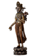 Beautiful Standing Goddess Tara