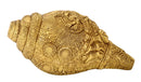 Sun God Surya Engraved Brass Conch