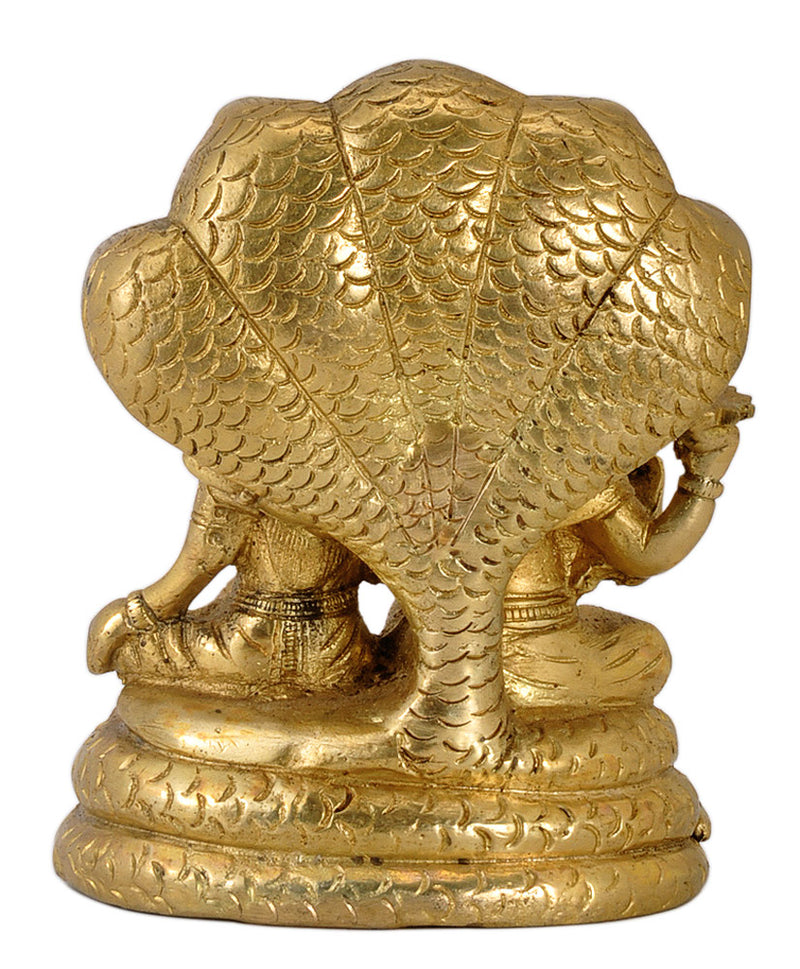 Lakshmi Narayan Seated on Sheshnaag