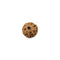 Rudraksha Eight Mukhi