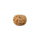 8 Faced Rudraksha Dana